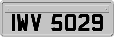 IWV5029