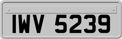 IWV5239