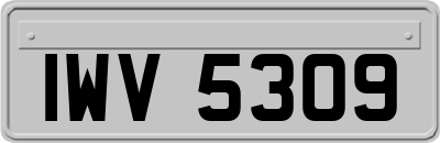IWV5309