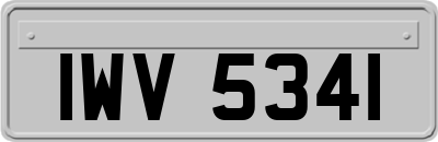 IWV5341