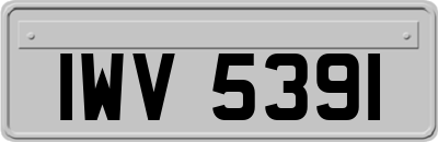 IWV5391