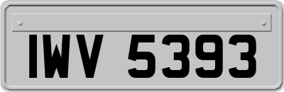 IWV5393