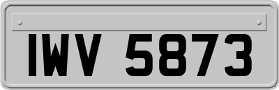 IWV5873