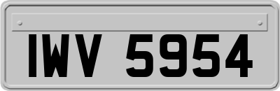IWV5954
