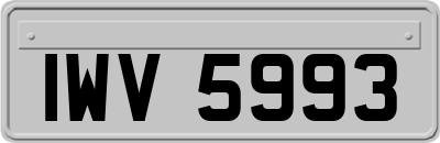 IWV5993