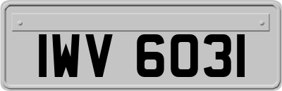 IWV6031