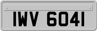 IWV6041
