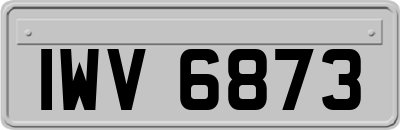 IWV6873