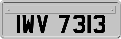 IWV7313