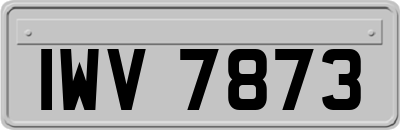 IWV7873