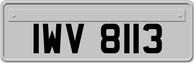 IWV8113