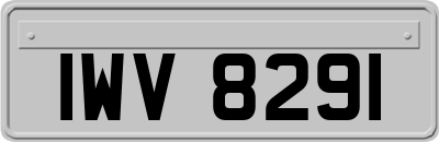 IWV8291