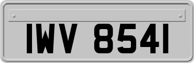 IWV8541