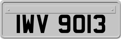 IWV9013