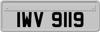 IWV9119