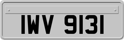 IWV9131