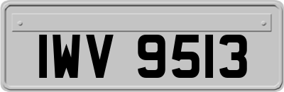 IWV9513