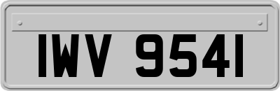 IWV9541