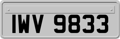 IWV9833