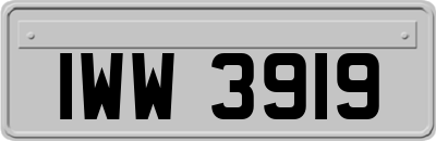 IWW3919