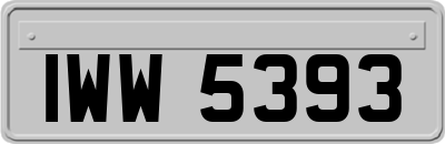 IWW5393