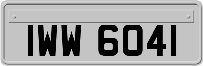 IWW6041