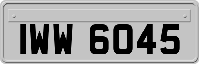 IWW6045