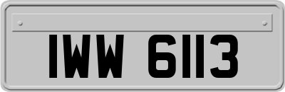 IWW6113