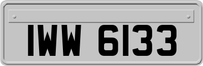 IWW6133