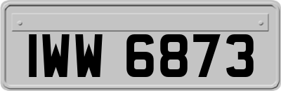 IWW6873