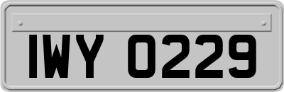 IWY0229