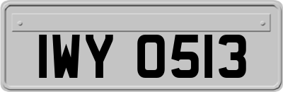 IWY0513