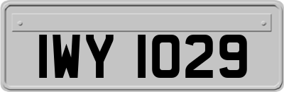 IWY1029