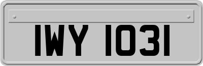 IWY1031