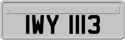 IWY1113