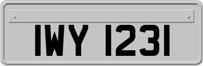 IWY1231