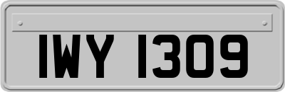 IWY1309
