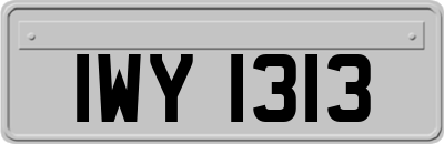 IWY1313