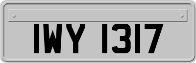 IWY1317