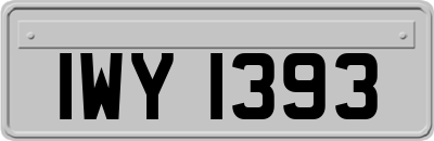 IWY1393