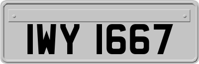 IWY1667