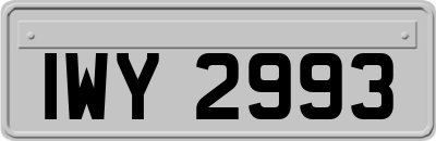 IWY2993