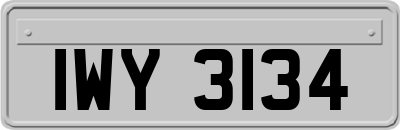 IWY3134