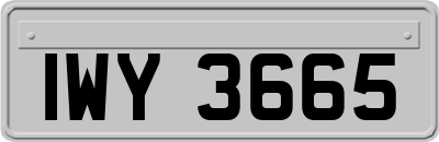IWY3665