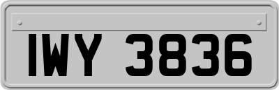 IWY3836
