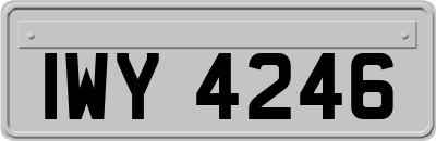 IWY4246