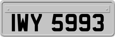 IWY5993