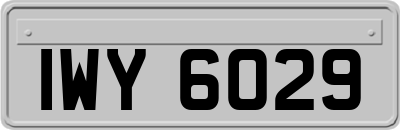 IWY6029