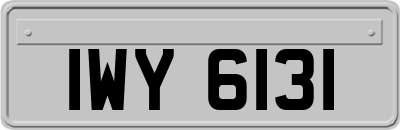 IWY6131