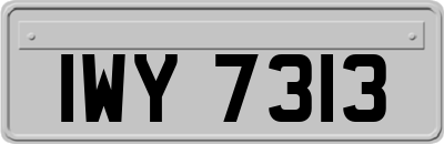 IWY7313
